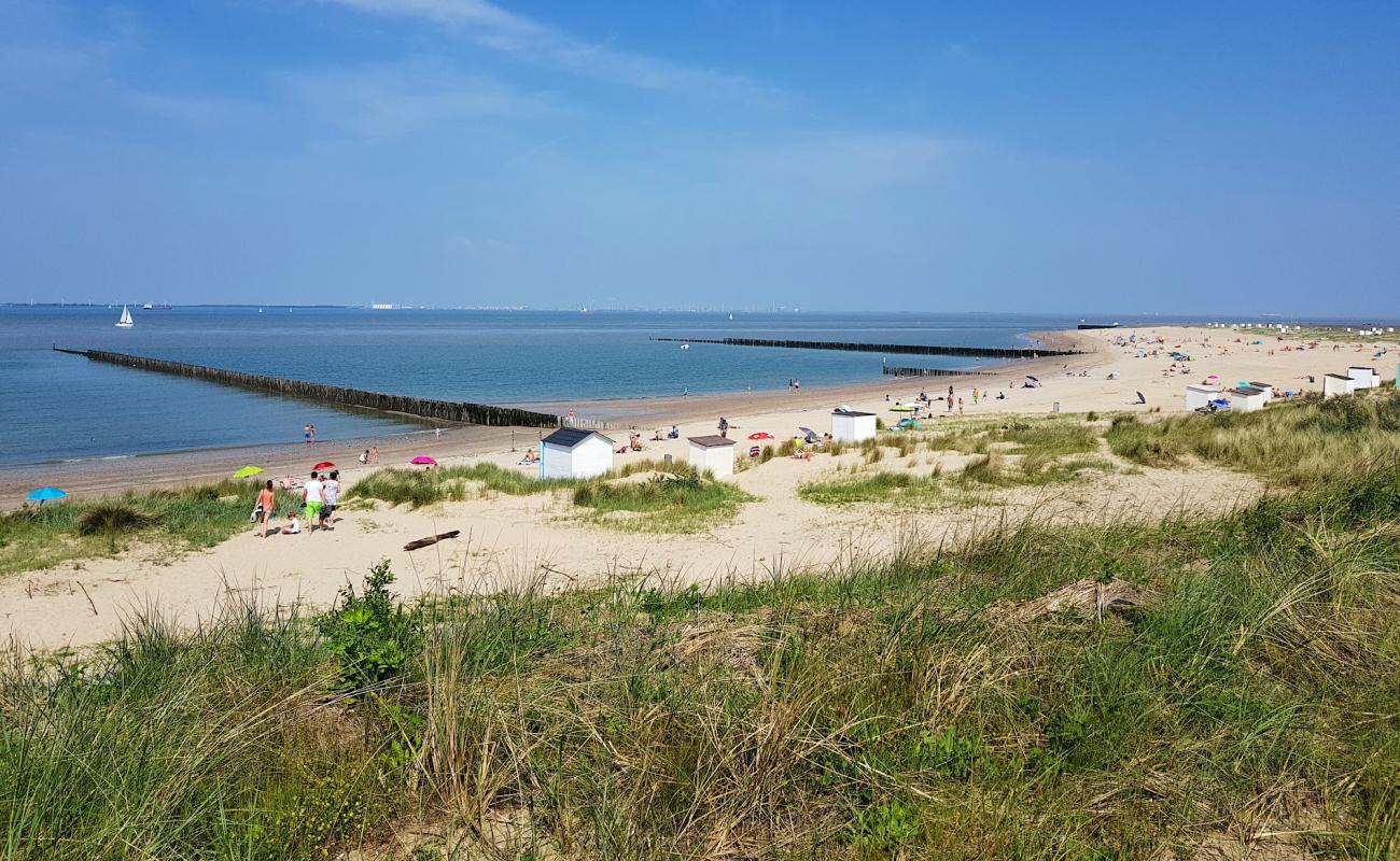 Foto af Strand Breskens II med lys sand overflade