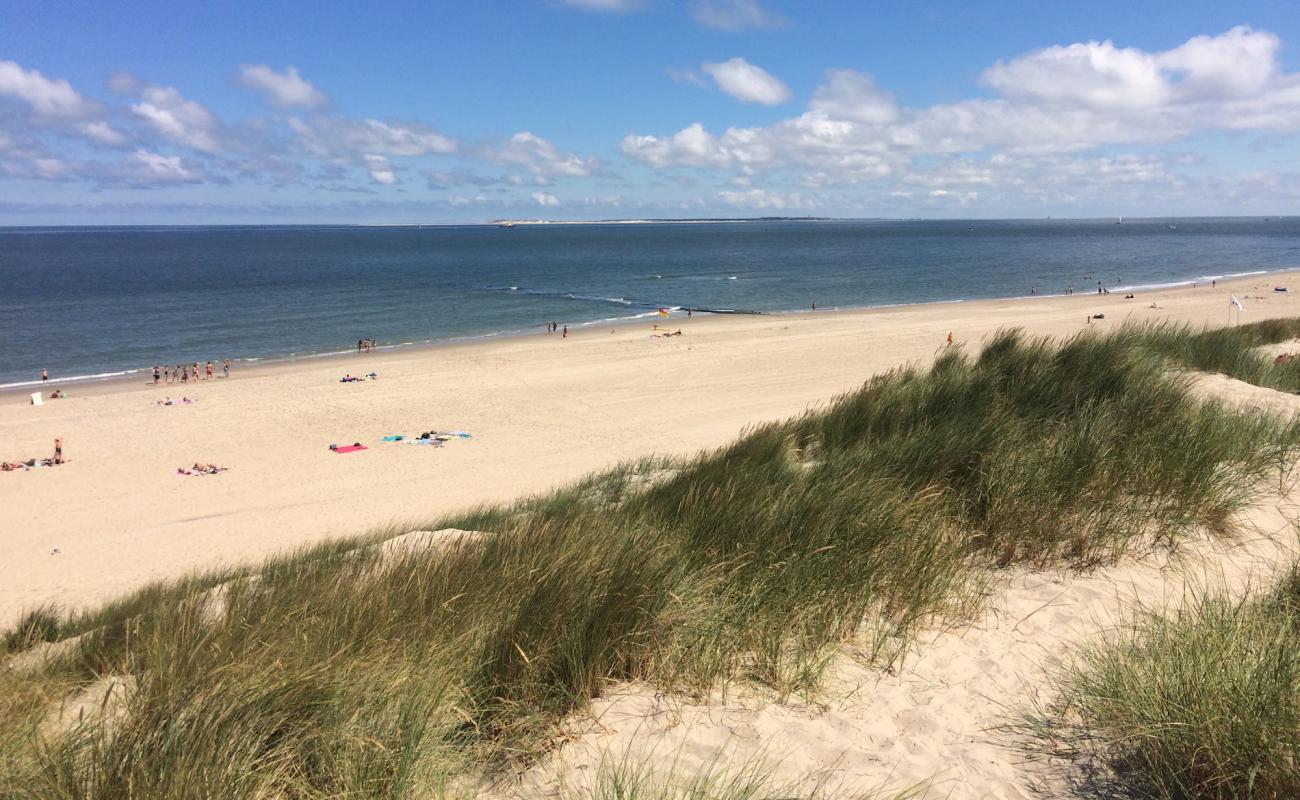 Foto af Vlieland beach med lys sand overflade