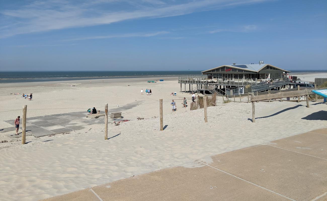 Foto af Strand Ameland med gråt fint sand overflade