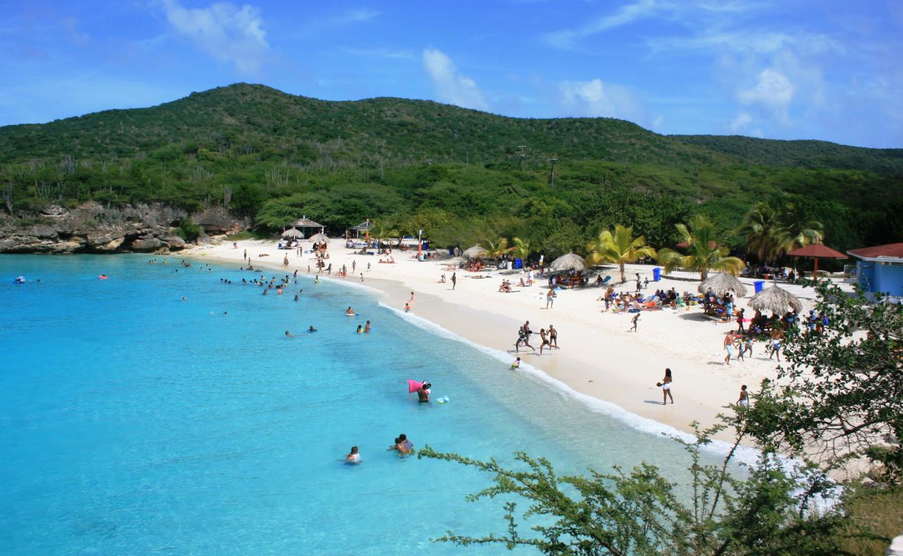 Foto af Stranden Grote Knip med lys sand overflade