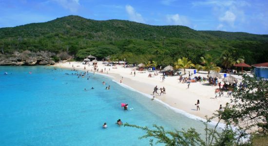 Stranden Grote Knip