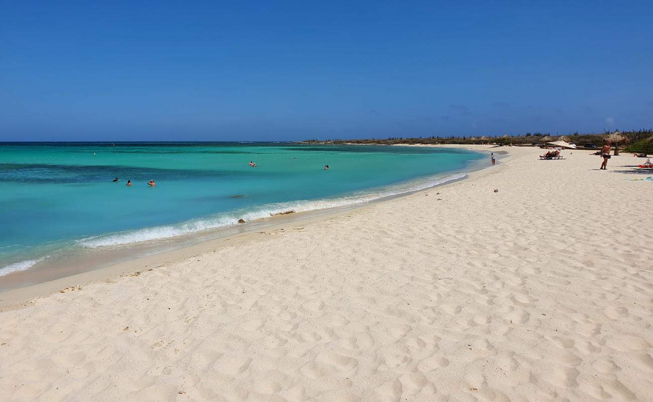 Foto af Arashi Strand med lys fint sand overflade