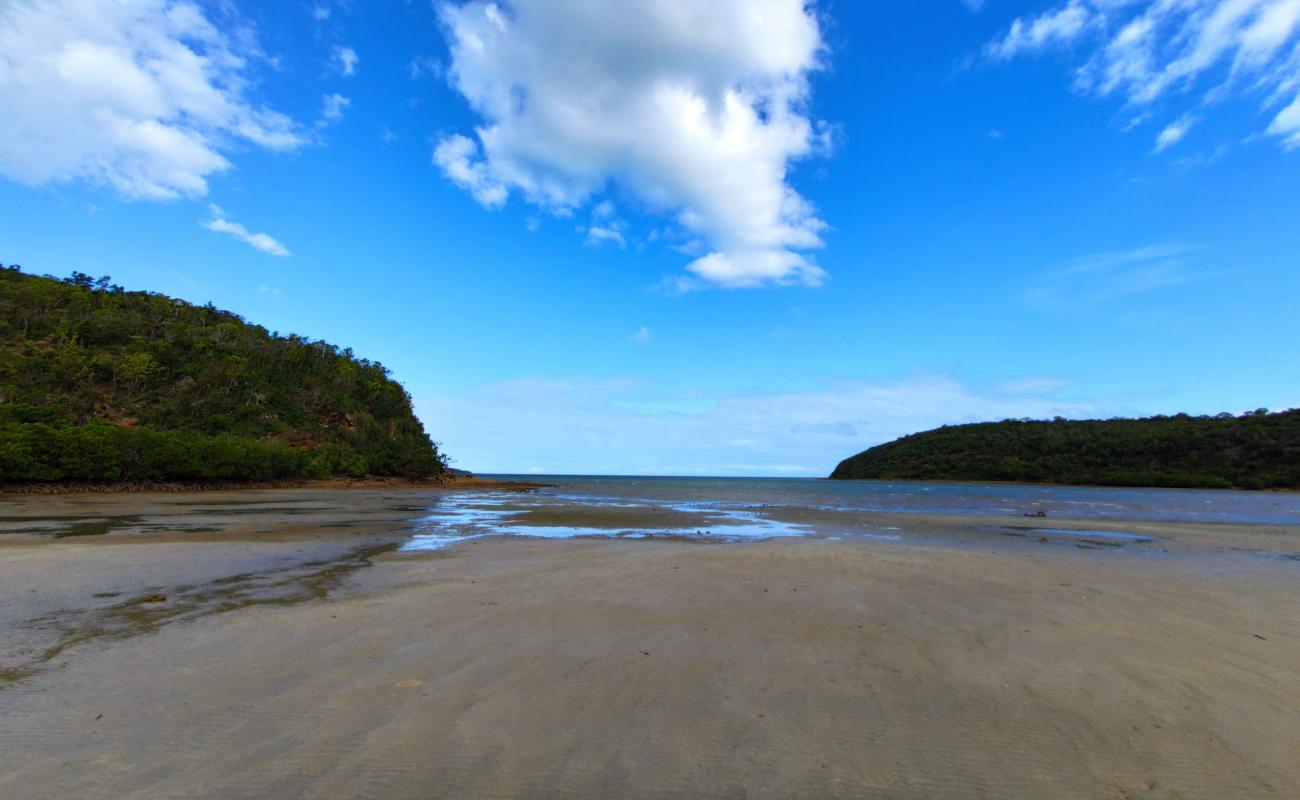 Foto af Plage de la baie des sapins med grå sand overflade