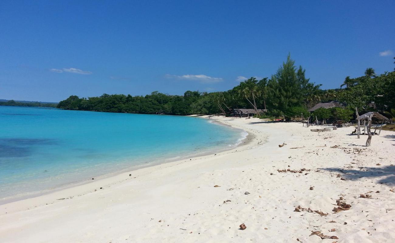 Foto af Port Olry Beach med hvidt sand overflade