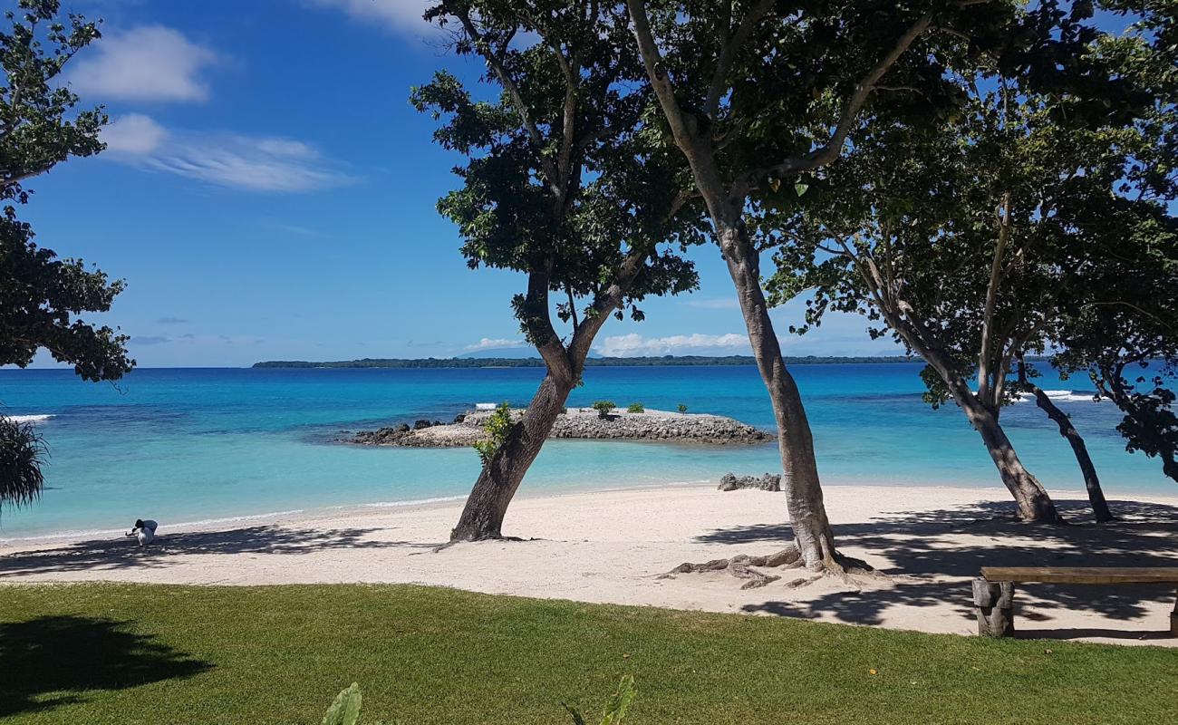 Foto af Oceanic Beach med hvidt sand overflade