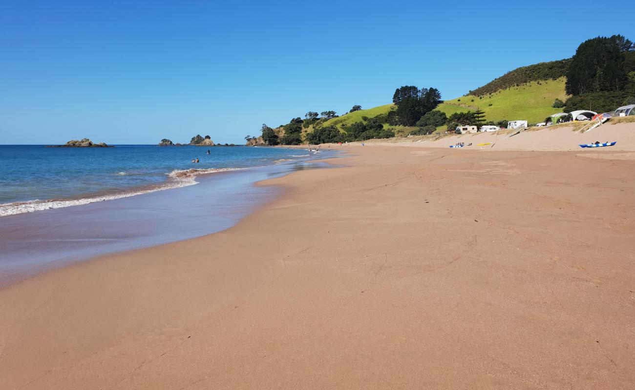 Foto af Tauranga Bay Beach med lys sand overflade