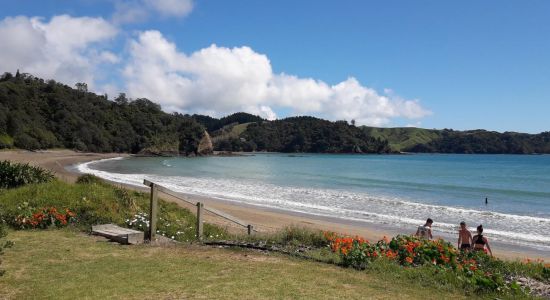 Helena Bay Beach