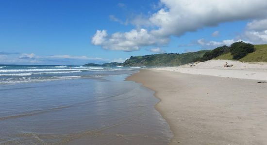 Pakiri Beach