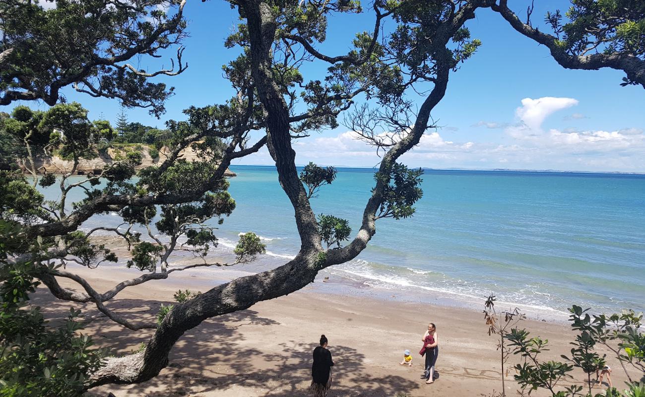 Foto af Little Manly Beach med lys sand overflade