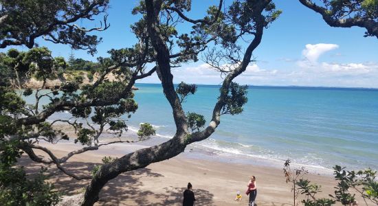 Little Manly Beach