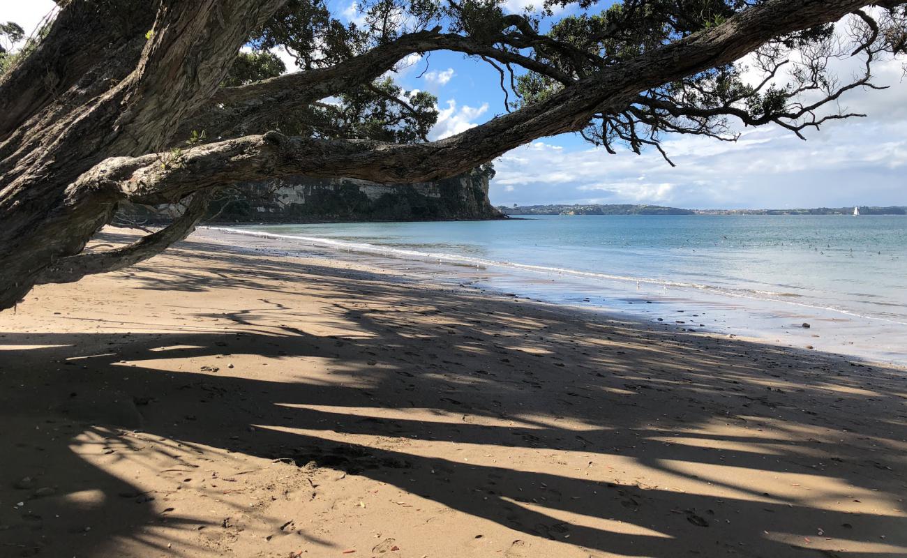 Foto af Pohutukawa Bay Beach med lys sand overflade