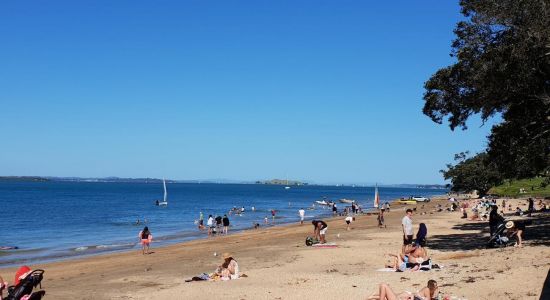 Narrow Neck Beach