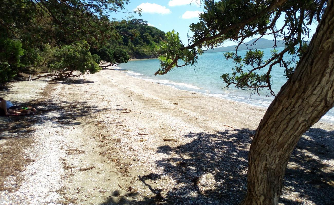 Foto af Karaka Bay Beach med lys skaldesand overflade