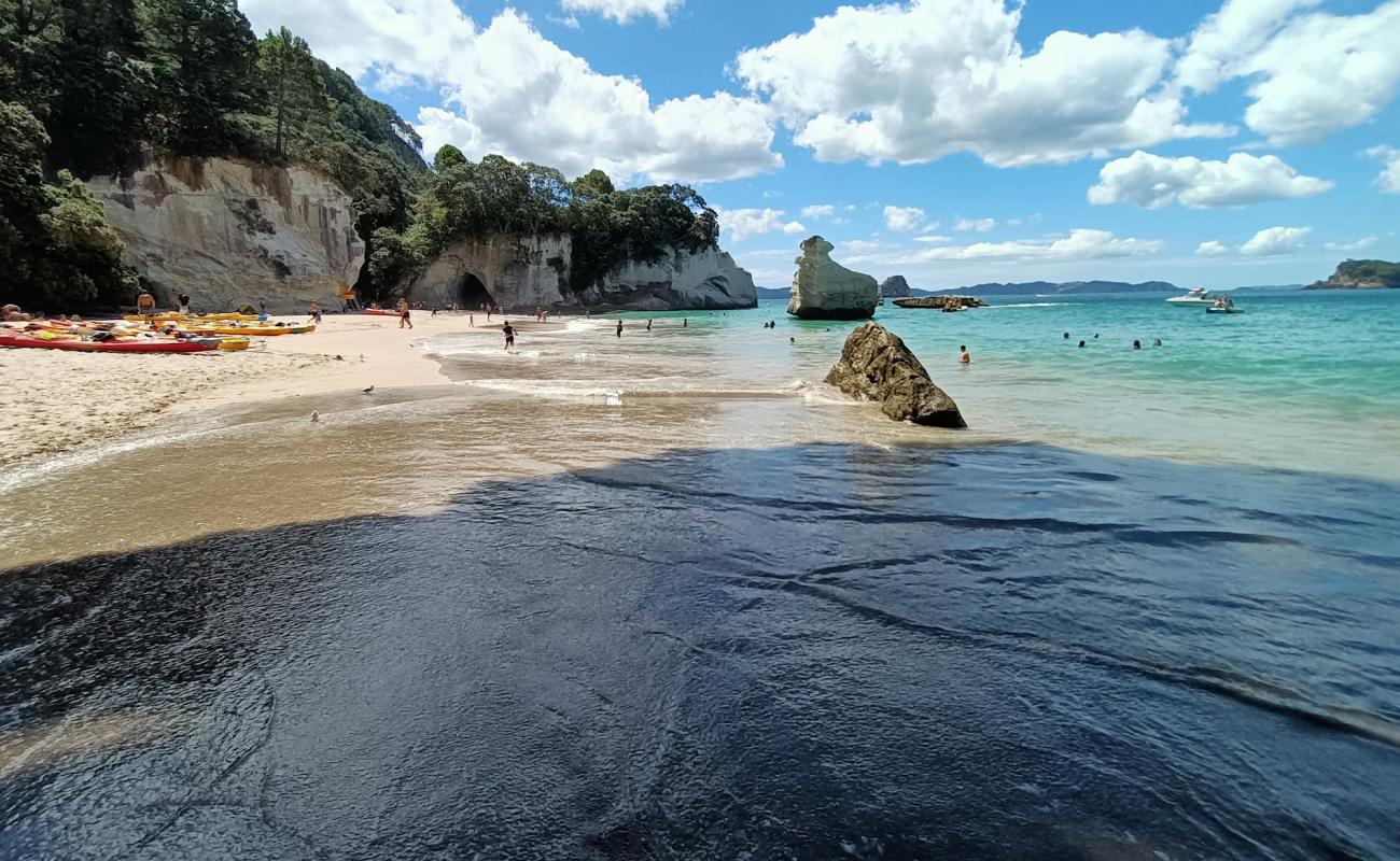 Foto af Cathedral Cove Beach med lys fint sand overflade