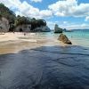 Cathedral Cove Beach