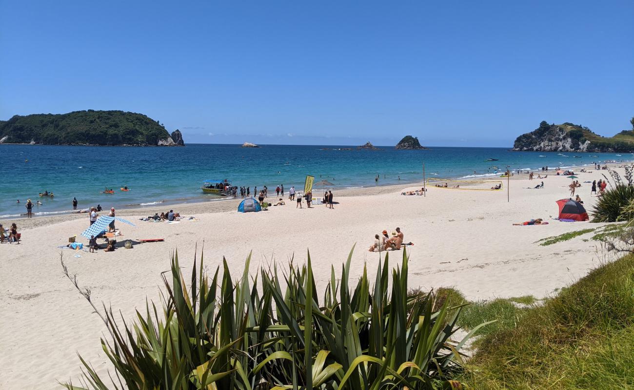 Foto af Hahei Beach med lys sand overflade