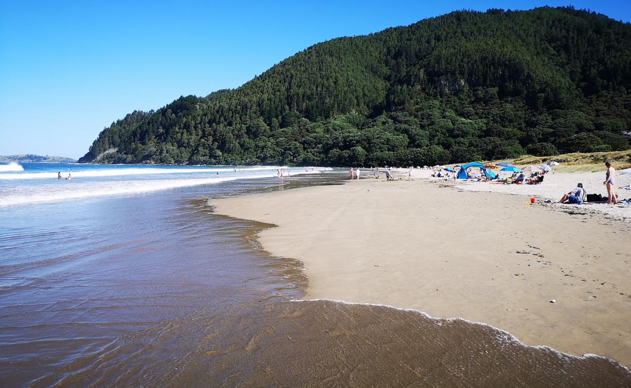 Foto af Pauanui Beach med lys sand overflade