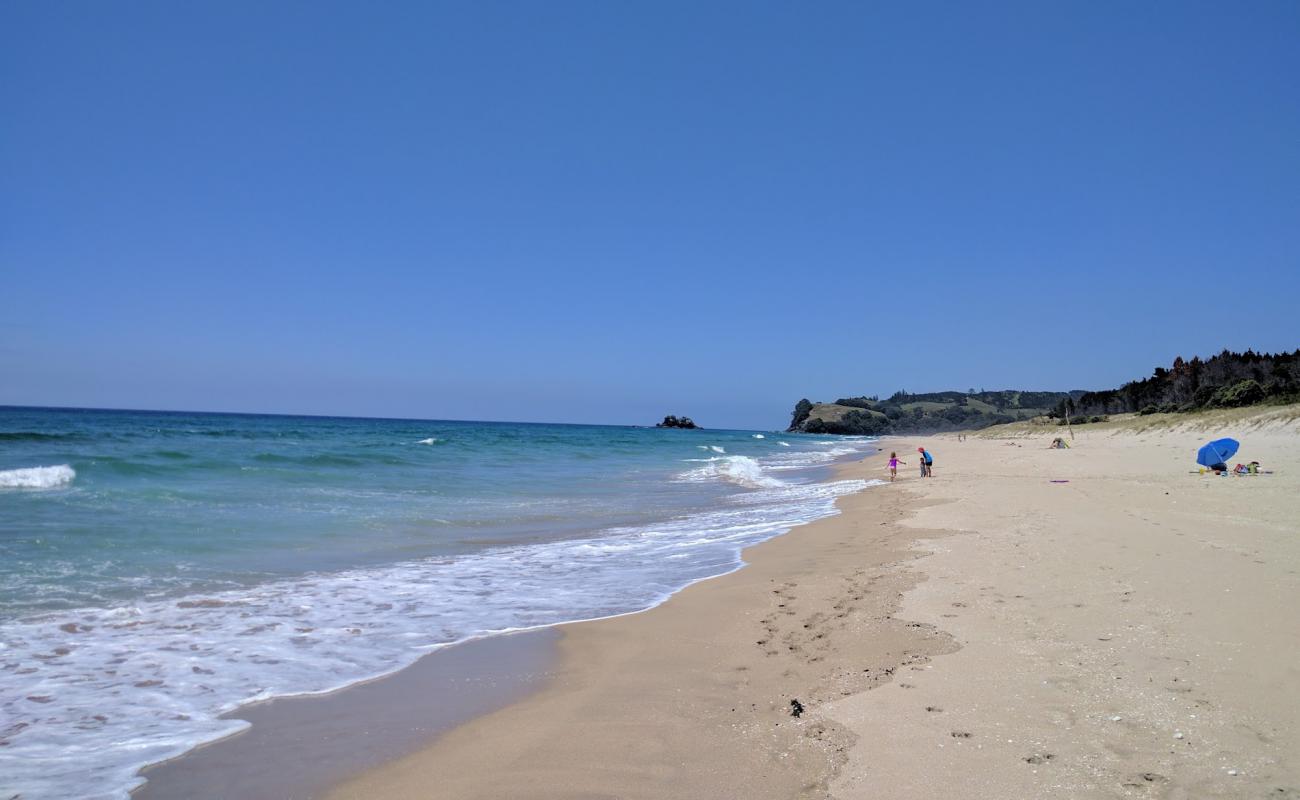 Foto af Opoutere Beach med lys sand overflade