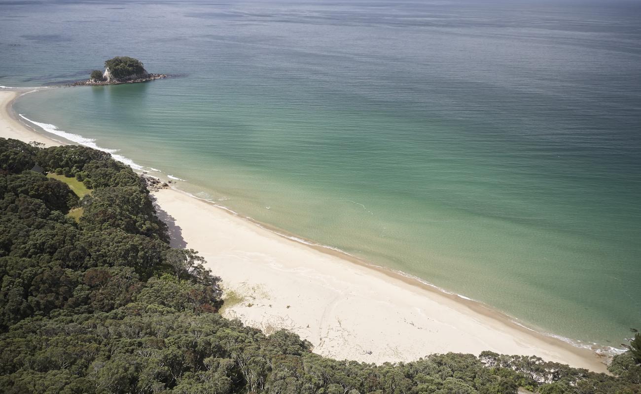 Foto af Will Hamilton Beach med lys sand overflade