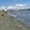 Lyall Bay