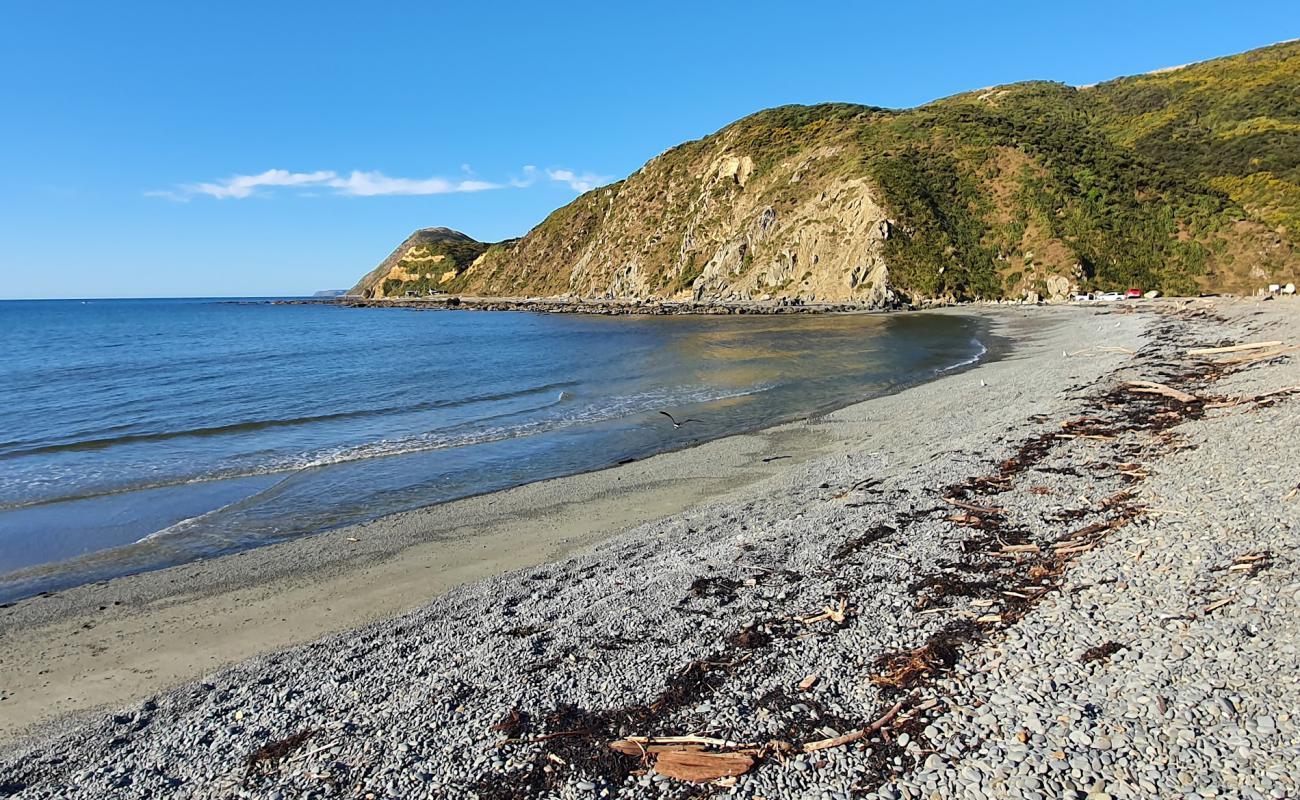 Foto af Makara Beach med grå sten overflade