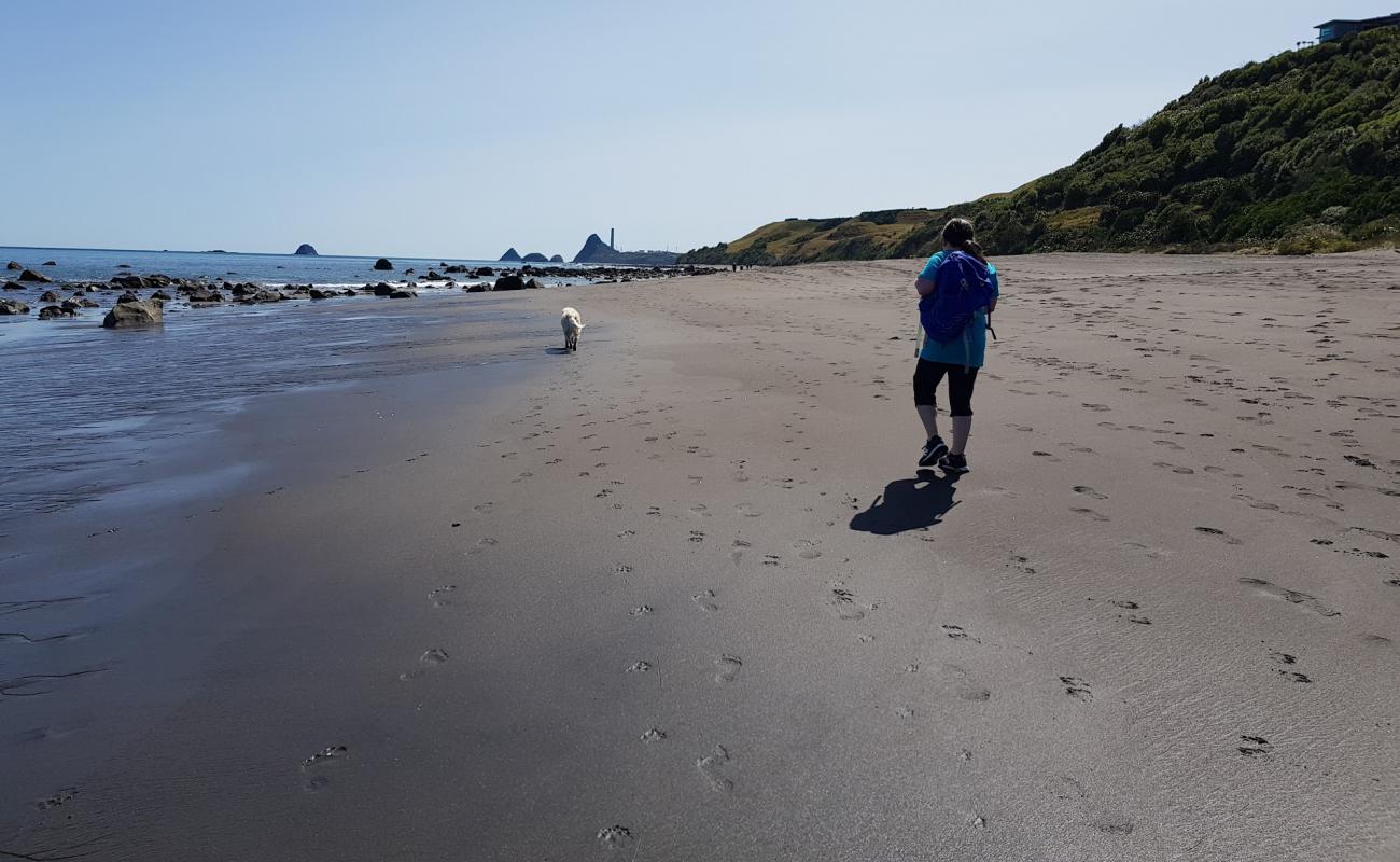 Foto af Tapuae Beach med grå sand overflade