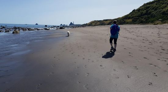 Tapuae Beach