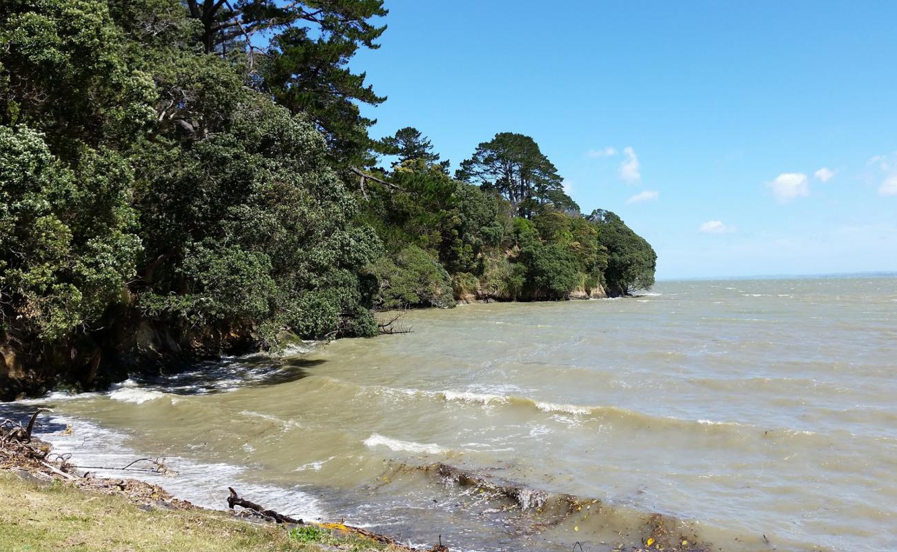 Foto af Manukau Beach med let sand og småsten overflade