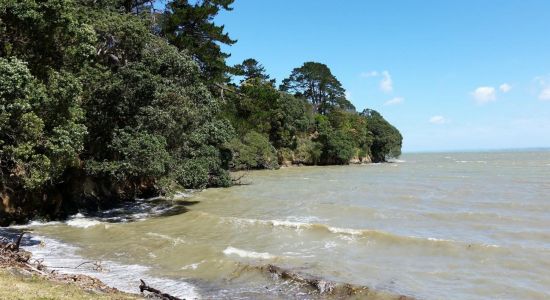 Manukau Beach