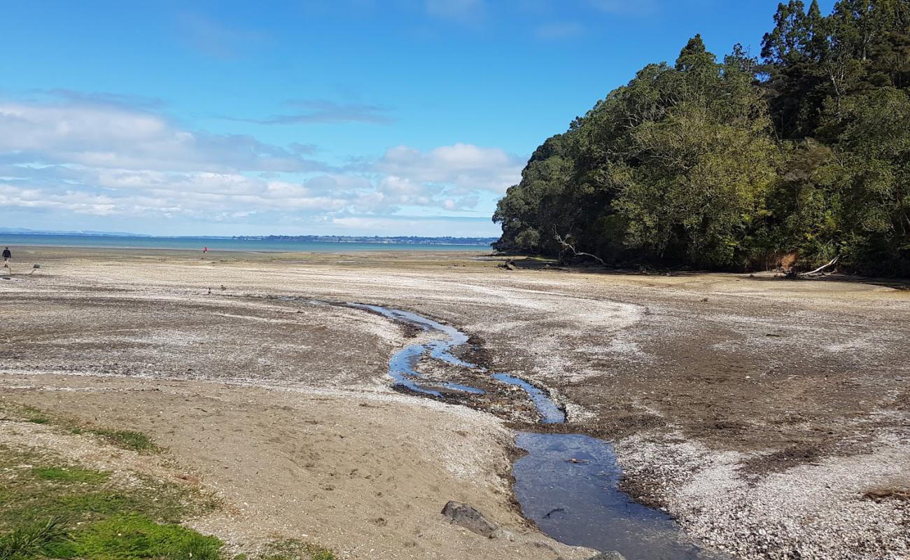 Foto af Titirangi Beach med let sand og småsten overflade