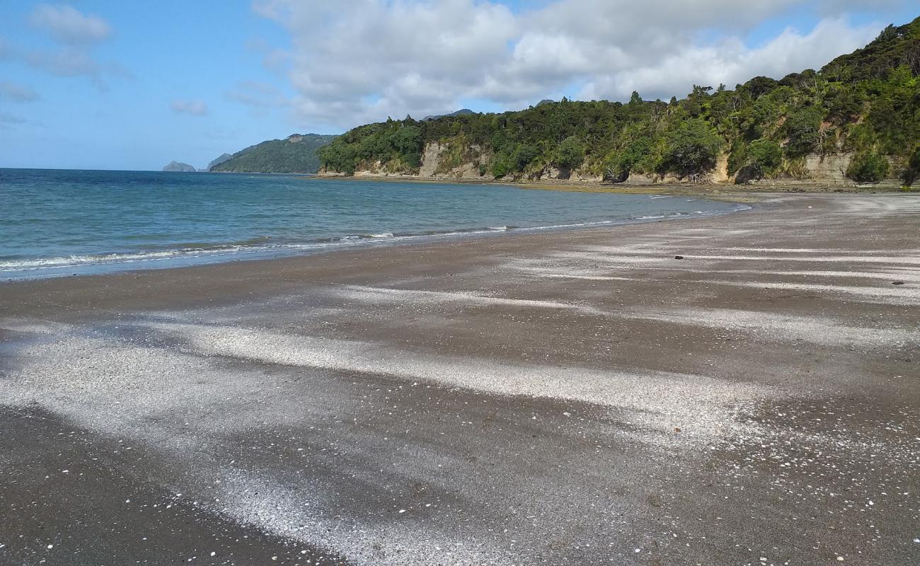 Foto af Kaitarakihi Beach med grå sand overflade