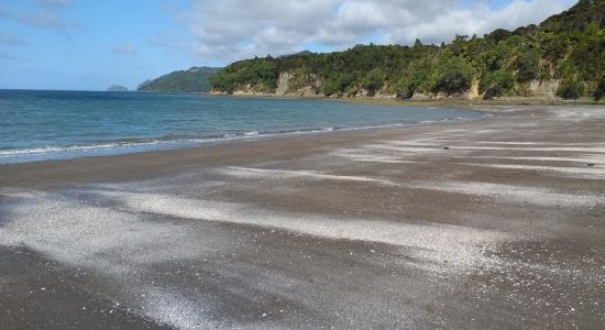 Kaitarakihi Beach