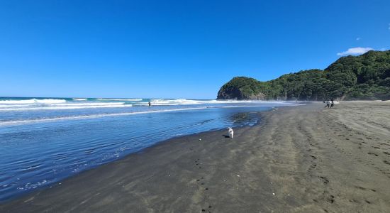 North Piha Beach