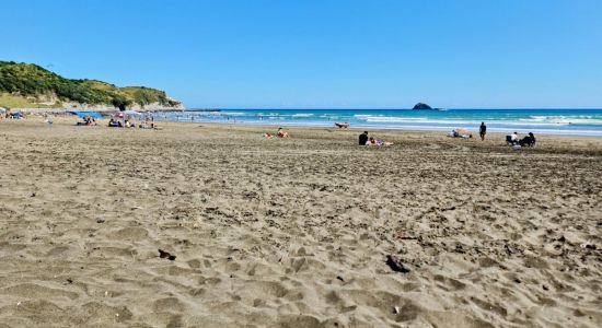 Muriwai Beach