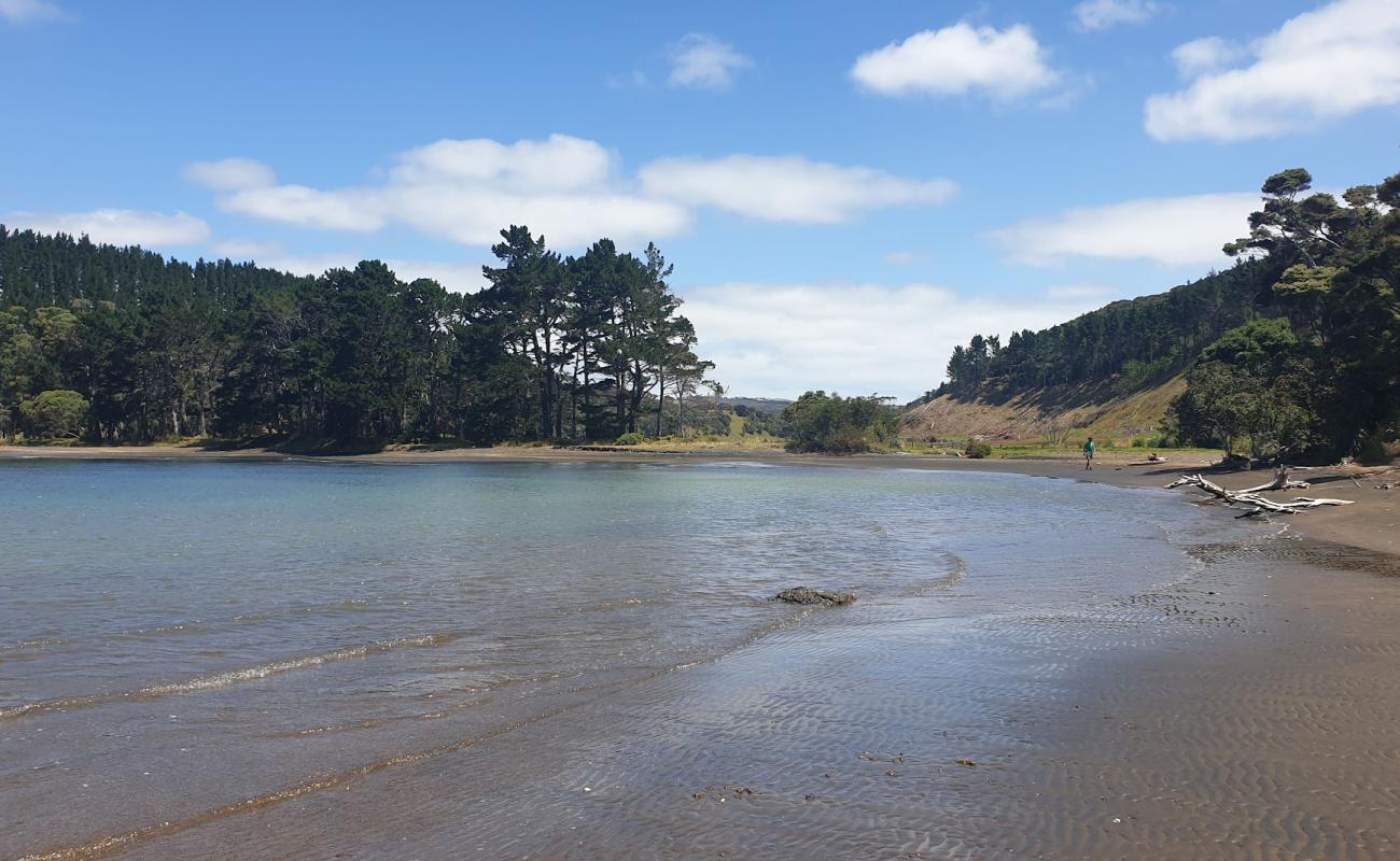 Foto af Mosquito Beach med grå sand overflade