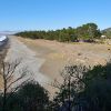 Rarangi Beach