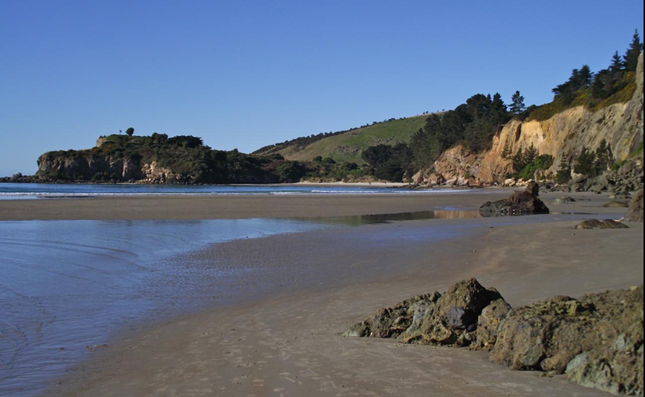 Foto af Purakaunui Beach med lys sand overflade