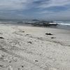 Taieri Mouth Beach