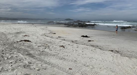 Taieri Mouth Beach