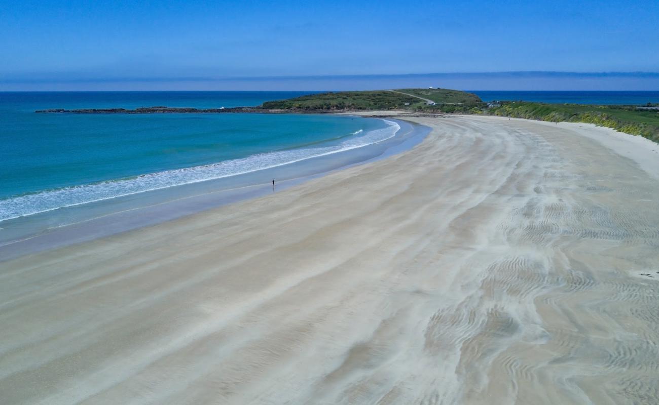 Foto af Curio Bay med lys fint sand overflade