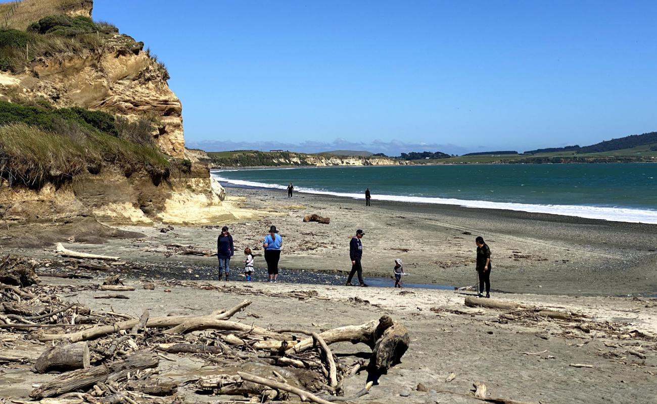 Foto af Gemstone Beach med let sten overflade