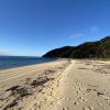 Whariwharangi Beach