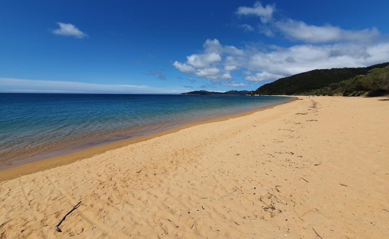 Foto af Totaranui Beach med lys fint sand overflade