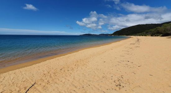 Totaranui Beach