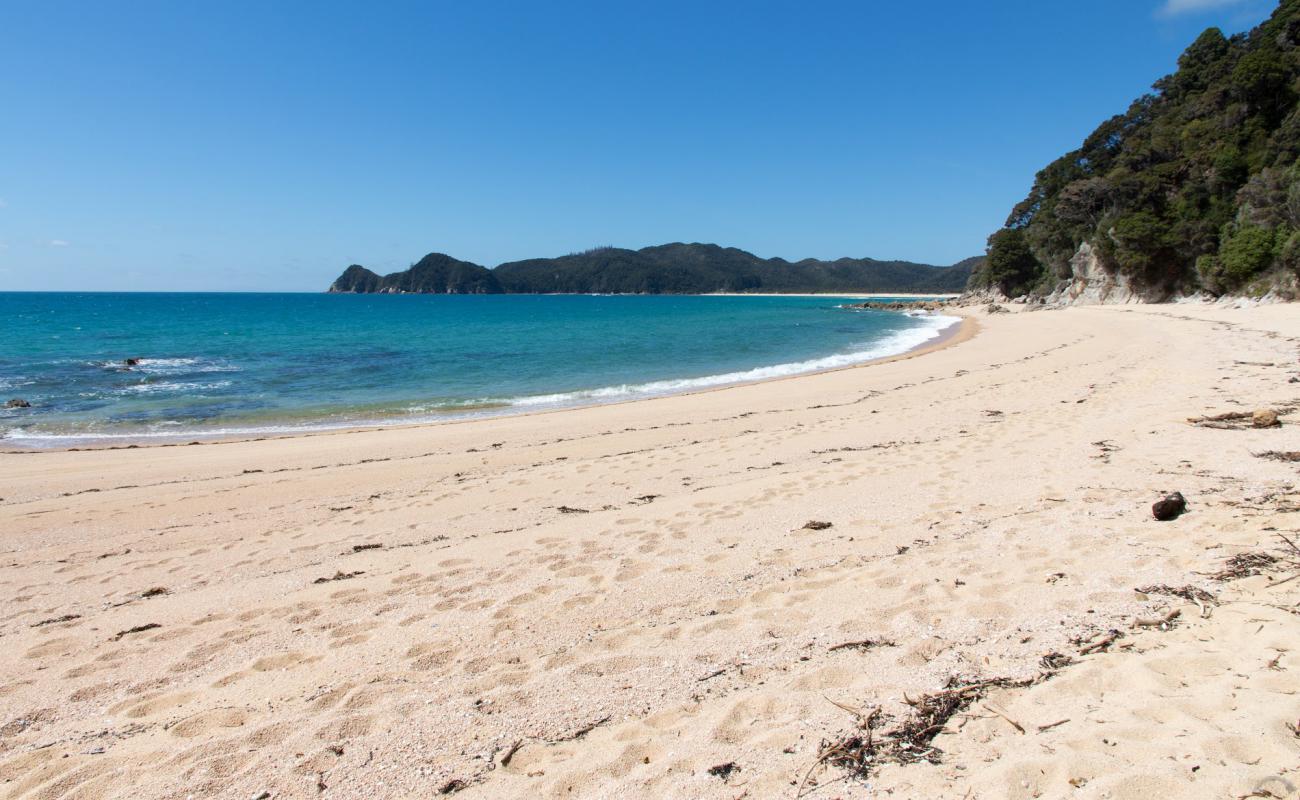 Foto af Waiharakeke Bay Beach med lys fint sand overflade