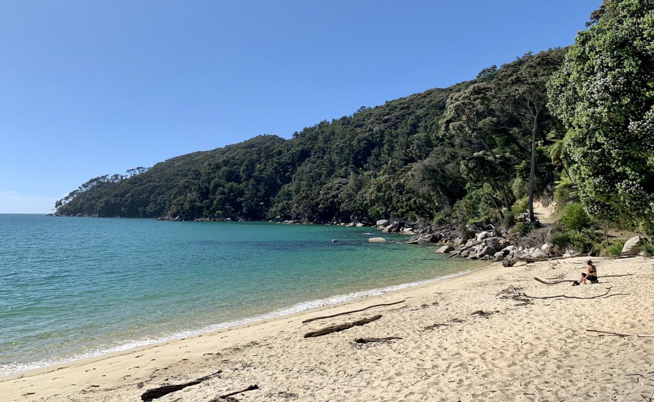 Foto af Bark Bay Beach med lys fint sand overflade