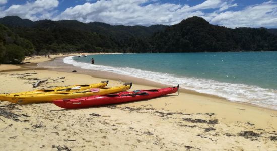 Anchorage Bay Abel Tasman