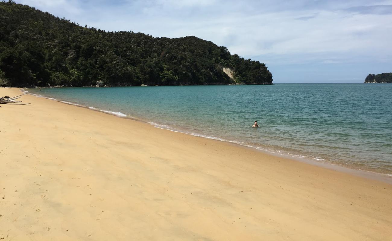 Foto af Coquille Bay Beach med lys sand overflade