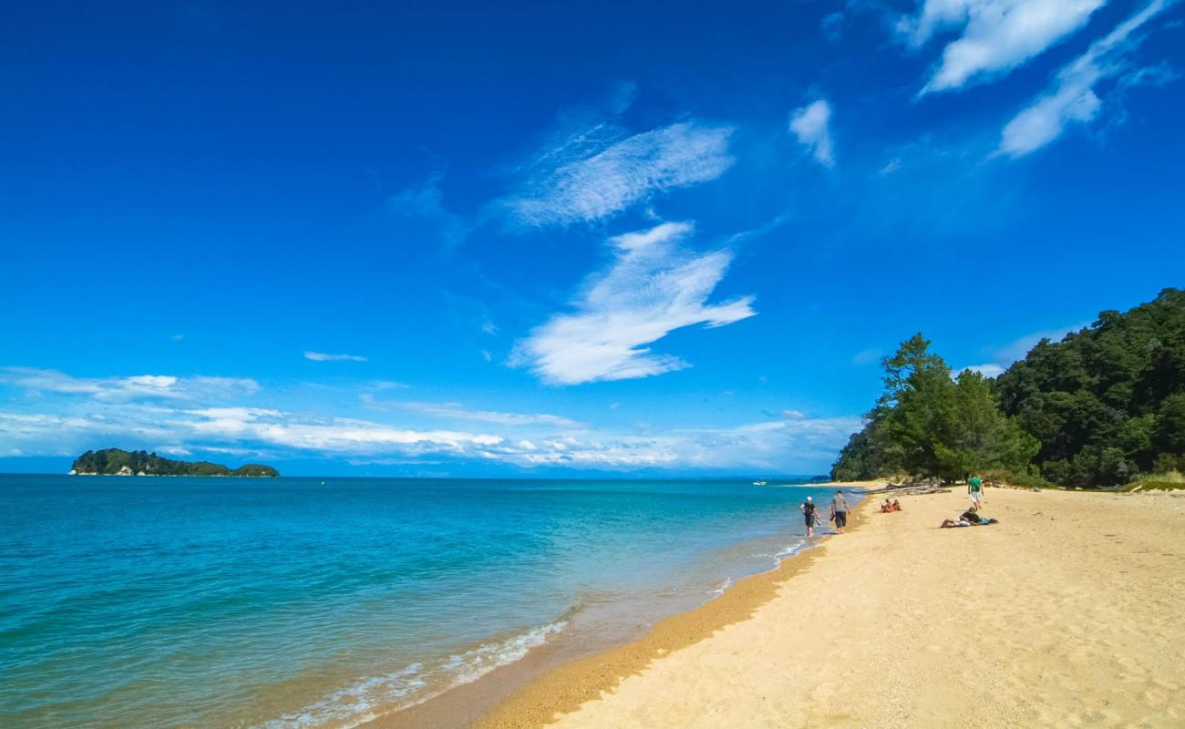 Foto af Ngaio Bay Beach med lys sand overflade