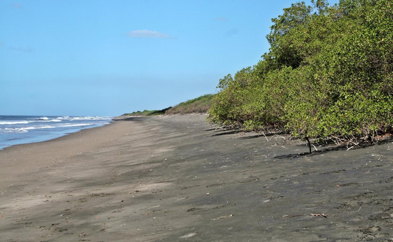 Foto af Reserva Natural beach med grå sand overflade